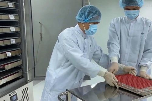 Việt Nam nỗ lực tiếp nhận công nghệ sản xuất vaccine Sputnik V