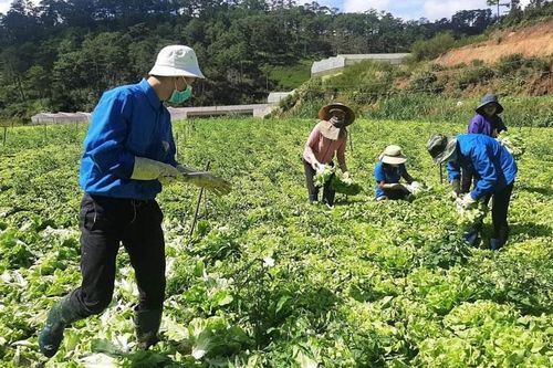 Lạc Dương: Thành lập Ban Chỉ đạo vận động ủng hộ các vùng bị cách ly, phong tỏa do dịch Covid-19