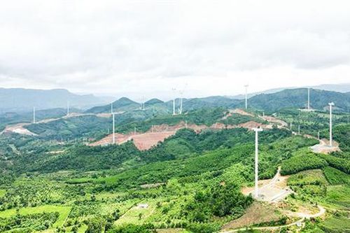 Cần sớm đánh giá tổng thể tác động môi trường của các dự án điện gió