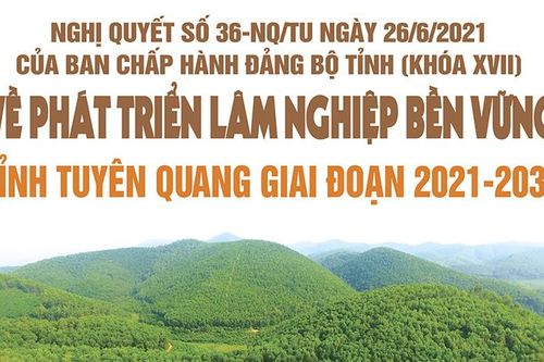 Nghị quyết số 36-NQ/TU của Ban Chấp hành Đảng bộ tỉnh (khóa XVII) về phát triển lâm nghiệp bền vững tỉnh Tuyên Quang giai đoạn 2021-2030Đề án số 02 của Ban Thường vụ Tỉnh ủy về tiếp tục đổi mới nội dung, phương thức hoạt động của MTTQ và các tổ chức chính