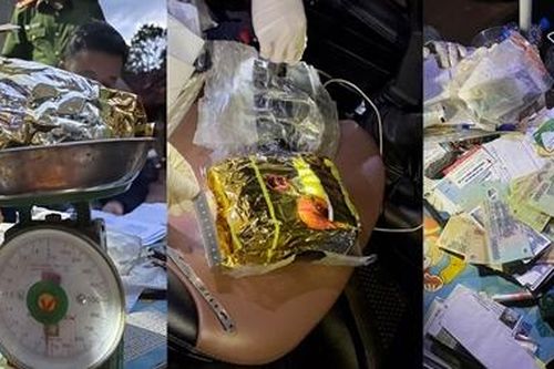Đóng giả làm người đi mua gỗ để vận chuyển ma túy