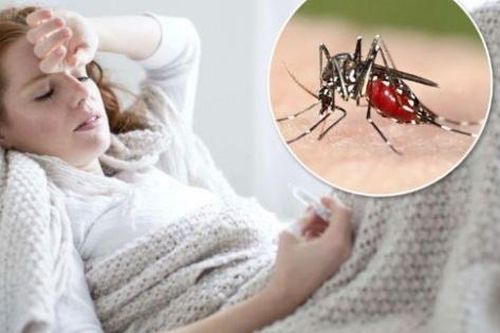 Các bài thuốc phòng và trị bệnh sốt rét