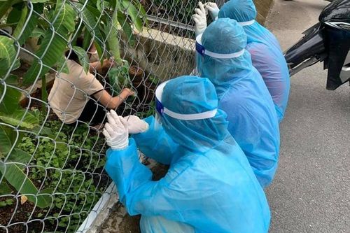 Tình nguyện viên ở TP.HCM được người dân tặng rau khi đi chống dịch