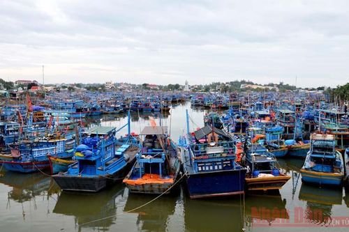 Bình Thuận đóng cửa, tạm dừng hoạt động tại Cảng cá La Gi