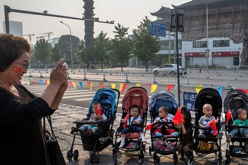 Tăng dân số để có nhân tài