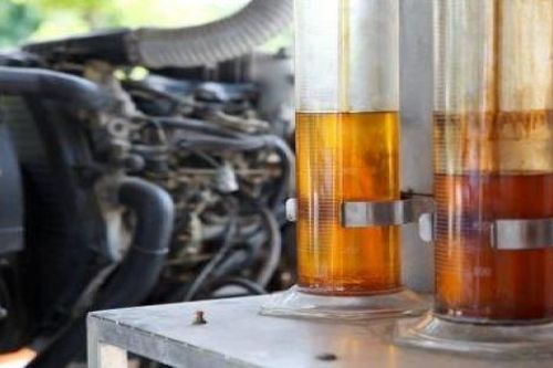 Eni giúp Kenya phát triển năng lượng sinh học