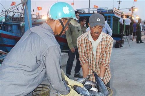 Tiếp tục đẩy mạnh tái cơ cấu nông nghiệp toàn diện, thực chất, gắn với xây dựng nông thôn mới