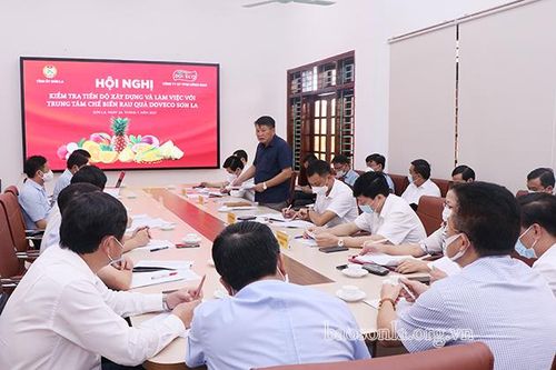 Thường trực Tỉnh ủy kiểm tra tiến độ xây dựng Trung tâm chế biến rau, quả Doveco Sơn La