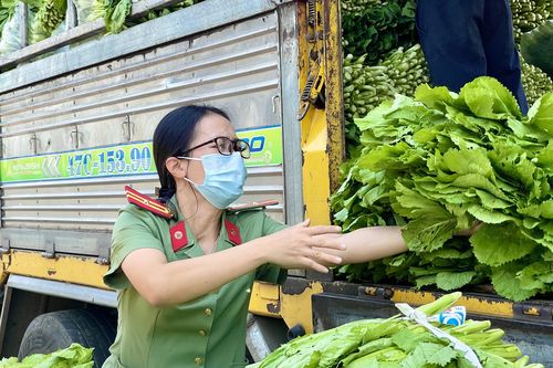 Người dân Đắk Lắk gom rau xanh, củ cải gửi tặng TP.HCM chống dịch