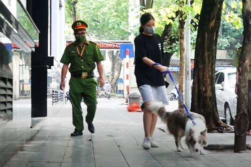 Dắt chó đi dạo khi Hà Hội đang giãn cách, cô gái bị phạt 2 triệu đồng
