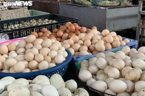 Trứng gà giá tăng cao vẫn đắt khách ở chợ Hà Nội