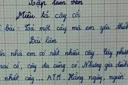 Bài văn tả cây của học sinh lớp 3 khiến nhiều người lớn sững sờ