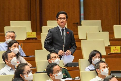Nhiều doanh nghiệp hàng không, du lịch, nhà hàng, khách sạn, vận tải... đang 'chết mòn' vì đại dịch