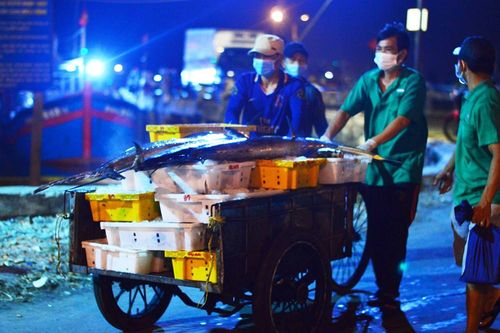 Đà Nẵng tạm dừng hoạt động cảng cá Thọ Quang từ 15 giờ ngày 26/7