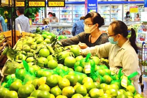 388 đầu mối bảo đảm nguồn cung ứng dồi dào nông sản, thực phẩm cho miền Nam