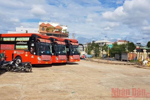 Khoảng 4.000 người Phú Yên gặp khó khăn được đón về quê miễn phí