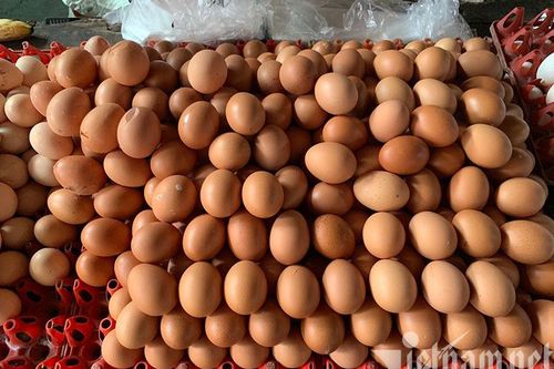 Hà Nội: Trứng gà tăng giá mạnh, nhiều nơi 'cháy hàng'