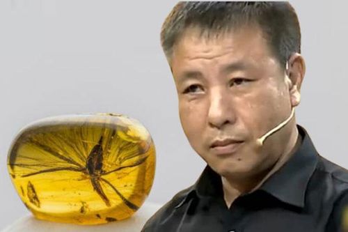 Cảnh sát trưởng mang sợi dây chuyền mình tịch thu được đi kiểm định, chuyên gia kinh ngạc: Mau trả lại đi!