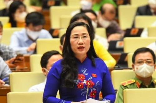 Chính phủ cần rà soát, đánh giá sức chống chịu của doanh nghiệp