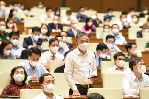 ĐBQH: 'Với biến chủng Delta, không thể nói trước bất cứ điều gì'
