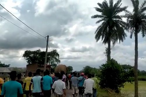 Người dân 'hộ tống' voi rừng ra khỏi làng