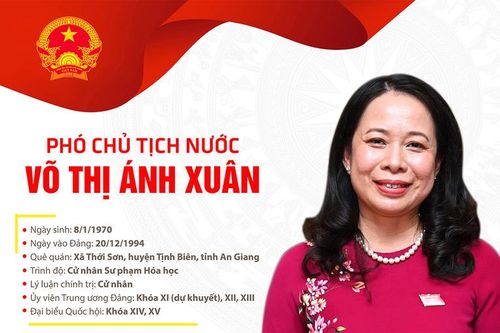 Tóm tắt quá trình công tác Phó Chủ tịch nước Võ Thị Ánh Xuân