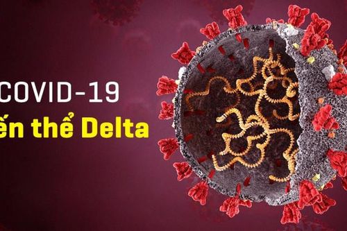 Delta – Biến thể mạnh nhất và đáng gờm nhất của virus SARS-CoV-2