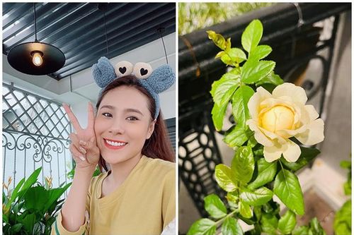Ban công xanh mướt, ngập hoa trong nhà mặt phố của Hồ Bích Trâm