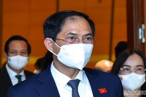Đại biểu Quốc hội Bùi Thanh Sơn: Ngoại giao vaccine được triển khai từ cấp cao nhất, tiếp cận cả song phương và thông qua cơ chế COVAX
