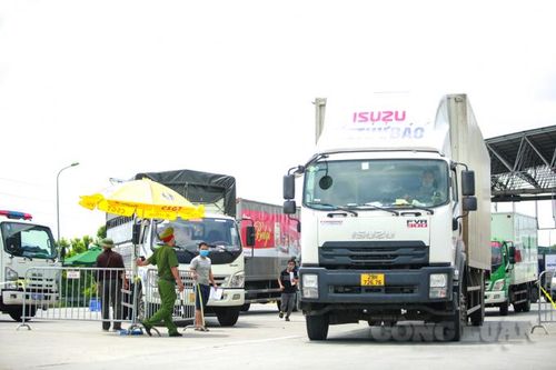 Bổ sung thông tin về Giấy nhận diện phương tiện đi trên 'luồng xanh'