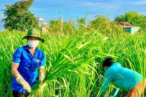 Áo xanh thanh niên tặng nhu yếu phẩm cho gia đình cách ly gặp khó khăn
