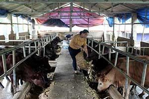 Thực hiện tiêu chí 13: Cần đi vào thực chấtTin khácNghị quyết 68: Kịp thời gỡ khó cho doanh nghiệp và người lao độngSáng mãi ngọn lửa thanh niên xung phong
