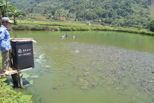 Tả Phời tạo bước chuyển trong sản xuất nông nghiệp