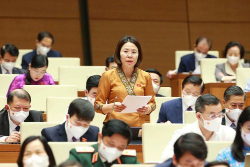 Đoàn đại biểu Quốc hội tỉnh Sơn La tham luận tại kỳ họp Quốc hội