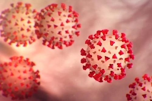 Biến thể Delta mang tải lượng virus cao gấp 1.000 lần so với chủng gốc