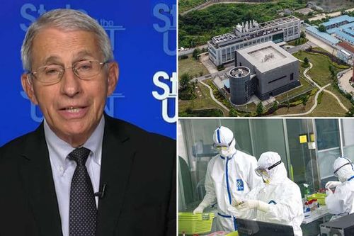 Mỹ chi 600.000 USD cho phòng thí nghiệm Vũ Hán nghiên cứu virus SARS-Cov-2