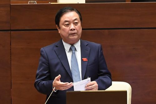 'Hình ảnh người thành thị về nông thôn tránh dịch nói lên một cảm xúc'
