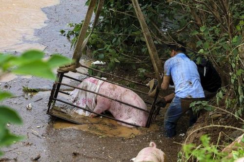 Cơn lũ tử thần cuốn trôi toàn bộ kế sinh nhai của người dân Hà Nam, Trung Quốc