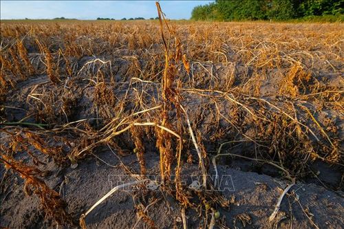 Chính giới và giới khoa học đánh giá báo cáo của IPCC chuẩn bị cho COP26
