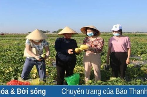 Hội LHPN huyện Hoằng Hóa: Những điểm sáng ấn tượng