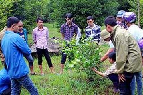 Bắc Sơn: Quan tâm đào tạo nghề cho lao động nông thônTin khácSáng mãi truyền thống 'uống nước nhớ nguồn'Nghị quyết 68: Kịp thời gỡ khó cho doanh nghiệp và người lao động