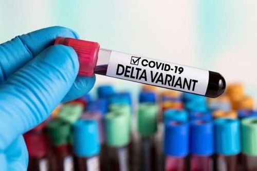 Biến thể Delta khiến thế giới chật vậtTin khácSáng mãi truyền thống 'uống nước nhớ nguồn'Nghị quyết 68: Kịp thời gỡ khó cho doanh nghiệp và người lao động