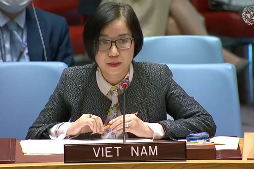 Việt Nam hoan nghênh những tiến triển tích cực trong tiến trình chuyển tiếp ở Sudan