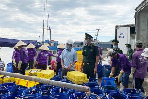 Kiểm soát chặt công tác phòng dịch tại các cảng cá Phú Yên