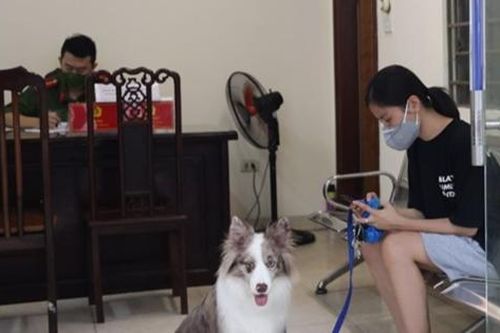 Những lý do ra đường 'lãng xẹt' của người bị phạt vì không tuân thủ giãn cách