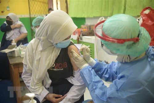 Indonesia đặt mục tiêu tiêm vaccine cho 208 triệu dân để đạt miễn dịch