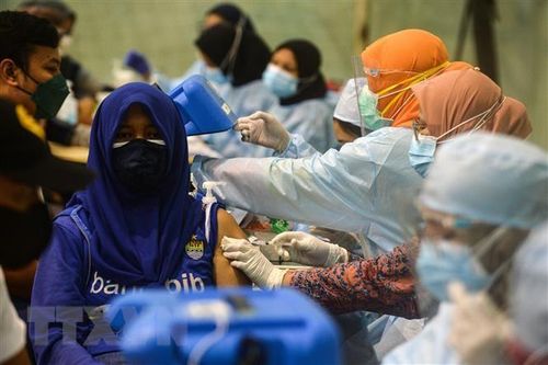 Indonesia bắt giữ hai đối tượng nghi làm giả giấy xét nghiệm PCR