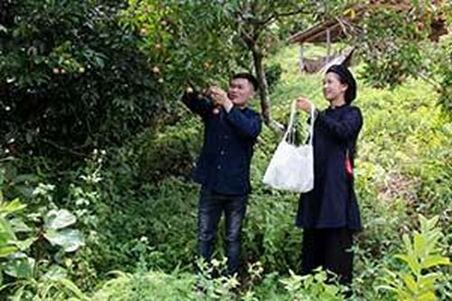 Thống Nhất: Bảo tồn giá trị văn hóa trang phục dân tộc Sán ChỉTin khácPhát huy vai trò công tác tuyên giáo, tạo đồng thuận xã hôịSáng mãi truyền thống 'uống nước nhớ nguồn'