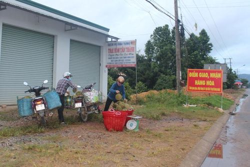 Đạ Huoai: Tạo điều kiện tối đa cho nông dân giao nhận nông sản