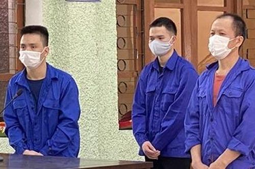Xét xử 4 bị cáo về tội tổ chức cho người khác xuất cảnh trái phép